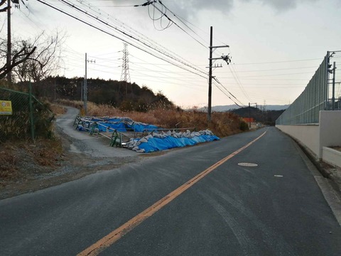 20220127鹿 (2)