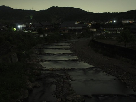20240517ホタル (5)