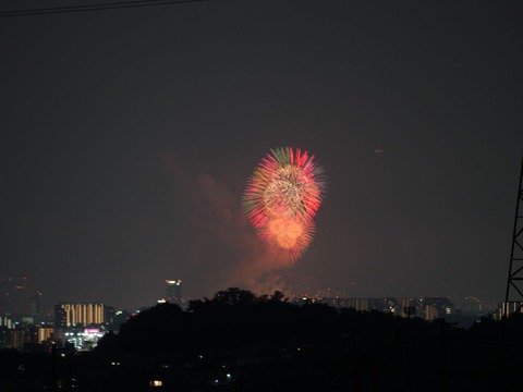 20240803なにわ淀川花火 (5)