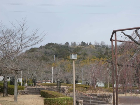 20260318摂津峡公園 (20)