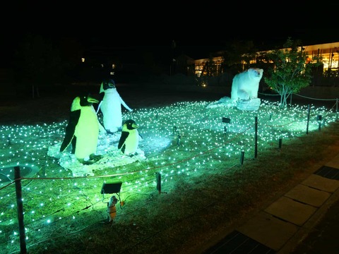 20241130安満関公園 (9)