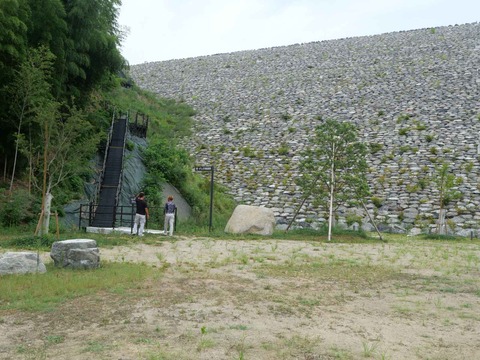 20240819安威川ダム (62)