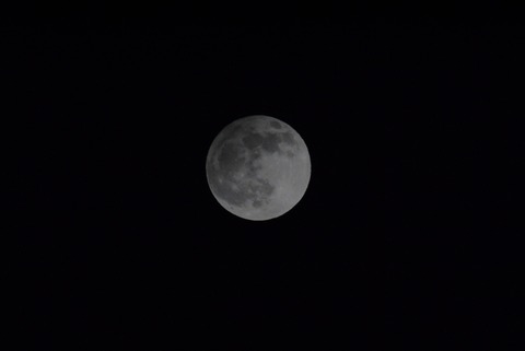 20201130hanei4