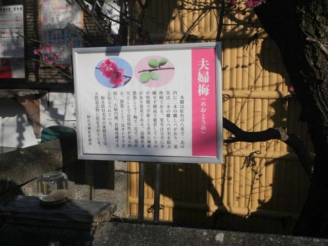 20260221阿久刀神社 (3)