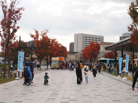 20221105安満遺跡公園紅葉 (1)