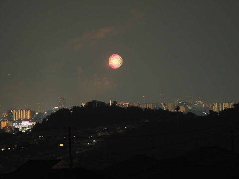 20220827なにわ淀川花火 (23)