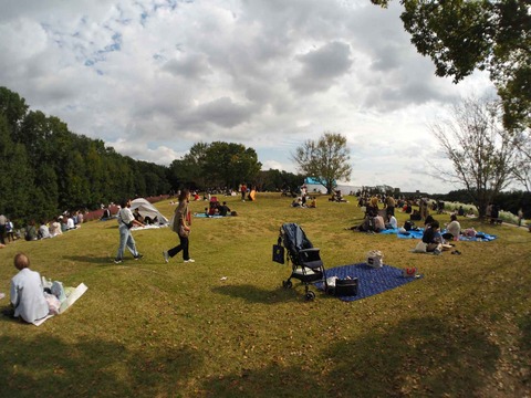 20221022万博記念公園 (45)