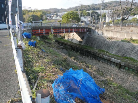 20260320山手町 (9)