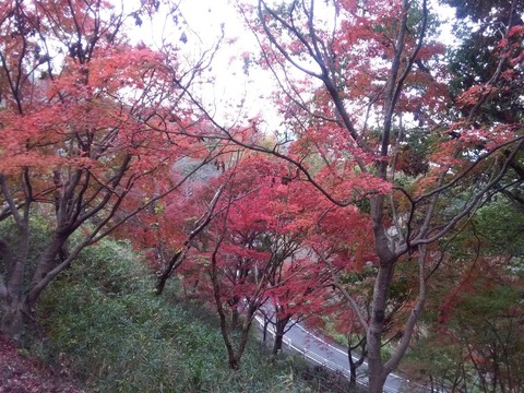 settukyo201811_7
