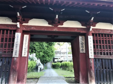 安岡寺あじさい (1)