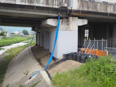 20220618大蔵司堤防 (3)