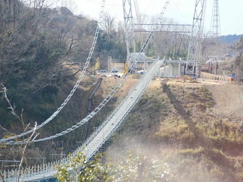 20250206吊り橋 (31)