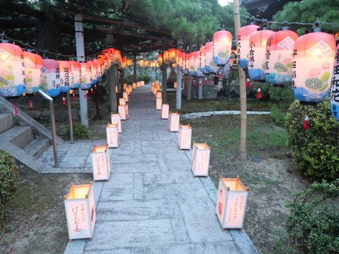 20240824清蓮寺 (8)