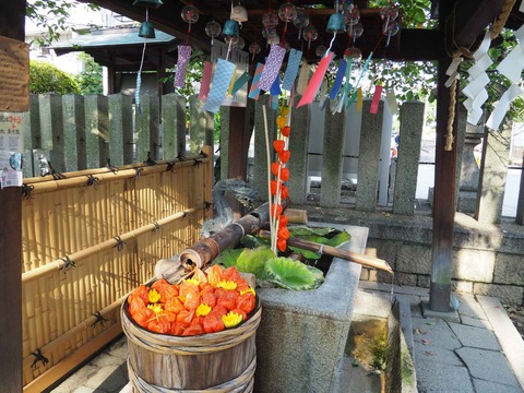 20220814野見神社 (11)