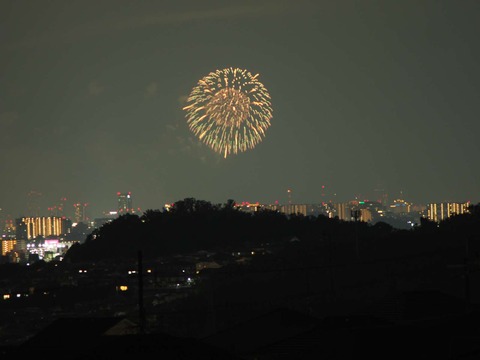 20220827なにわ淀川花火 (74)
