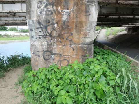20240817芥川鉄橋 (12)