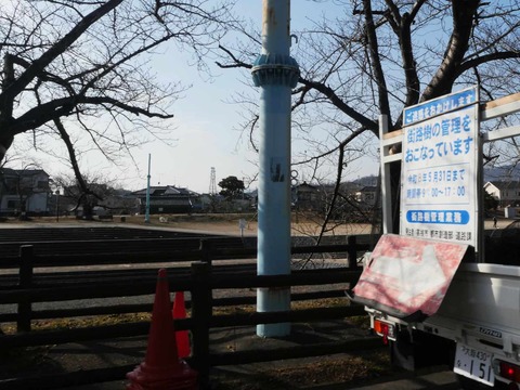 20260116芥川桜堤 (3)