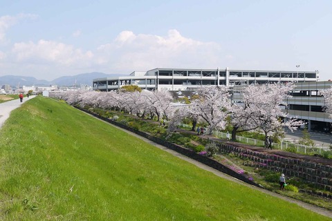 20200404sinkawa13