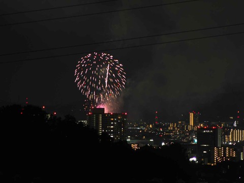 20220904くらわんか花火 (244)