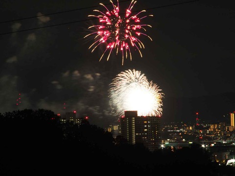 20230917水都くらわんか (42)