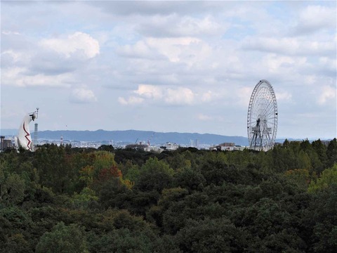 20221022万博記念公園 (68)