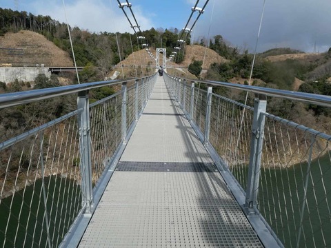 20250317吊り橋 (107)
