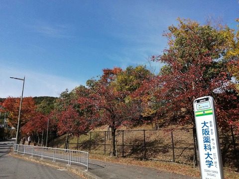 20201101koyo1