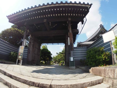 20231016とくとく (11)