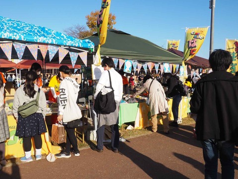 20221127はにコット (51)