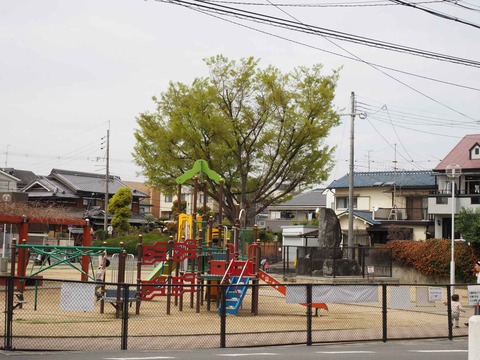 20230325筒井池公園 (33)