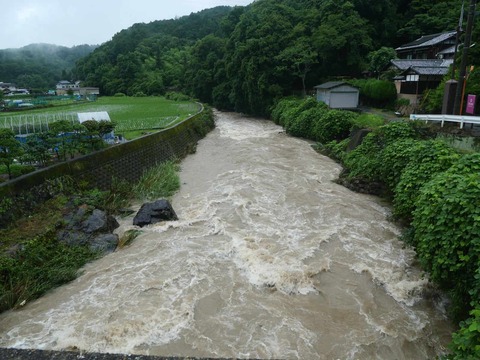 20260626芥川 (3)