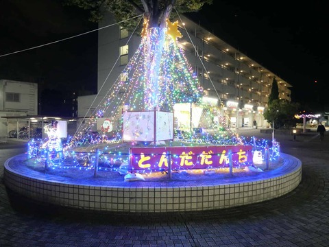 20241118富田団地イルミ (4)