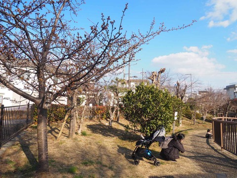 20220227筒井池 (1)