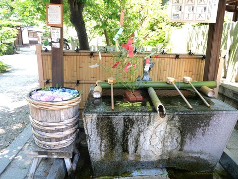 20240707野見神社 (1)