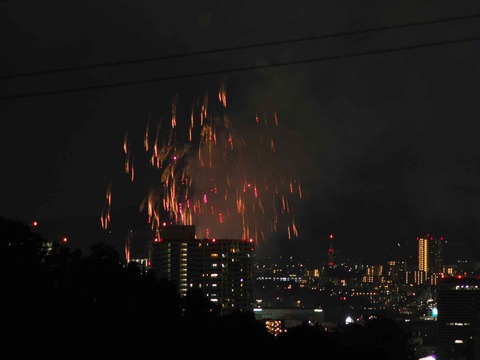 20220904くらわんか花火 (219)