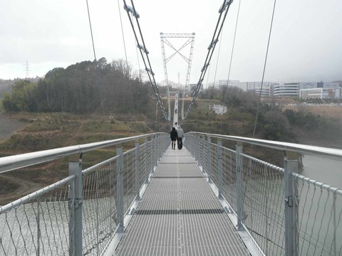 20250317吊り橋 (135)