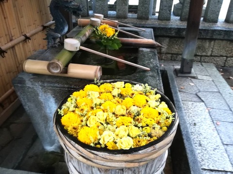 20240806野見神社 (1)