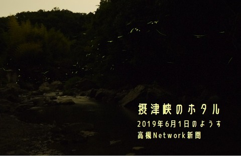 hotaru20190601_3
