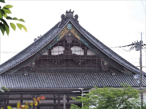 20220529筒井池 (6)