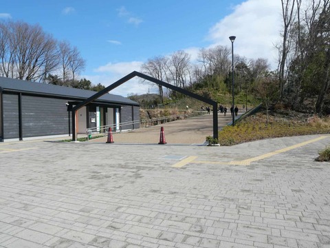 20250317吊り橋 (42)