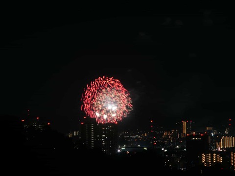 20250921くらわんか花火 (151)