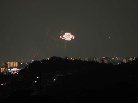 20220827なにわ淀川花火 (108)