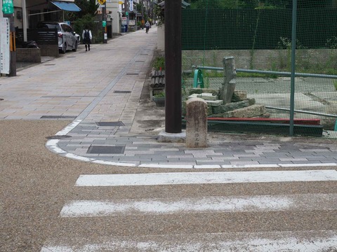 20220716長岡京 (9)