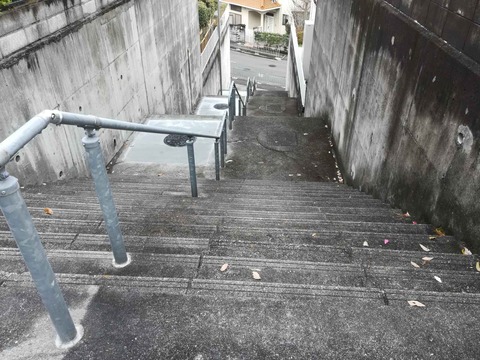 20211217清水台南側 (4)