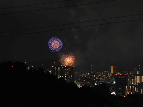 20220904くらわんか花火 (260)