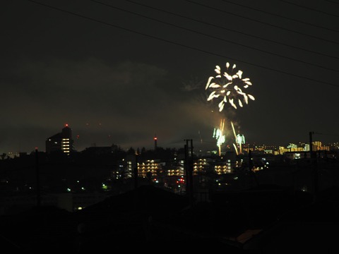 20221126万博花火 (46)