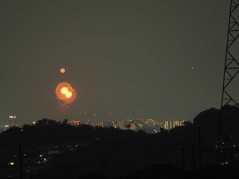 20220827なにわ淀川花火 (1)