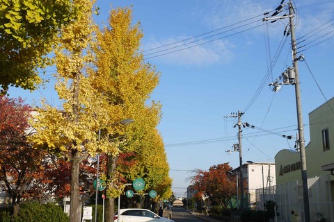 koyo191201_2