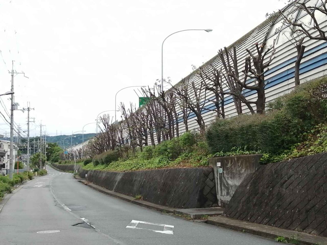 名神高速道路沿い 北側ののり面もかなり木の剪定がなされてる 高槻network新聞