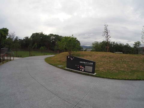 20240423ダムパークいばきた (16)